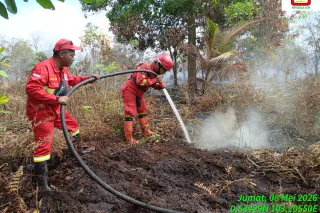 Seluas 4 hektare lahan di Kuala Kampar terbakar 