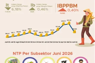 NTP Riau turun 6,62 persen