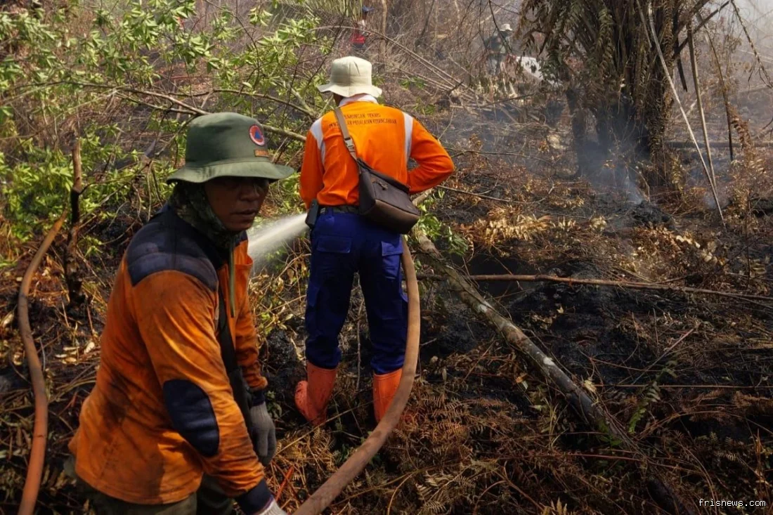 Pemprov Riau kerahkan Tim Gabungan percepat pemadaman karhutla di Pelalawan 
