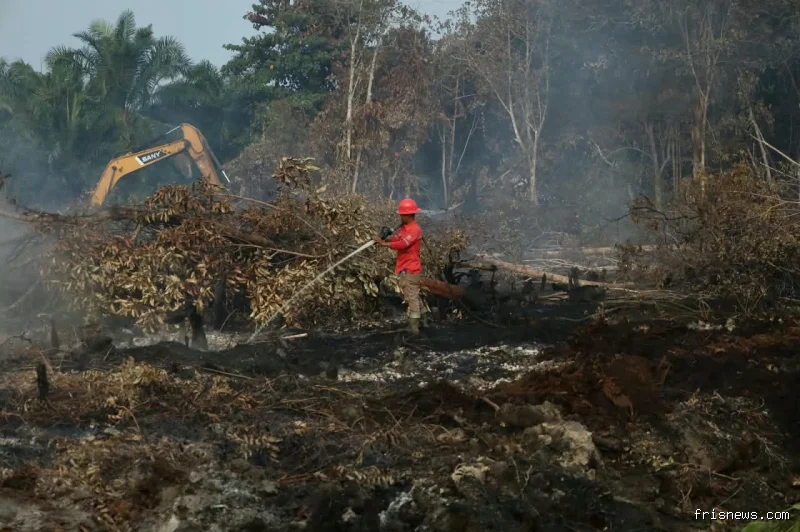 Karhutla Riau capai 87,9 hektare 