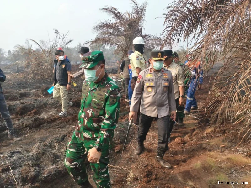 Polda Riau tetapkan 44 tersangka dari 41 kasus karhutla