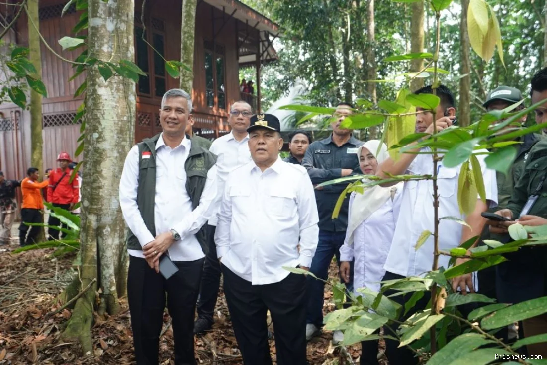 Riau pulihkan ekosistem gambut seluas 451.000 hektare selama 8 tahun 