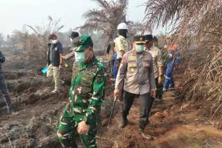 Polda Riau tetapkan 44 tersangka dari 41 kasus karhutla