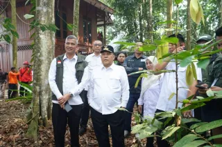 Riau pulihkan ekosistem gambut seluas 451.000 hektare selama 8 tahun 