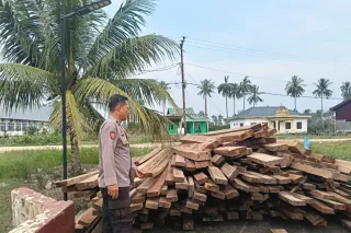 Tim Polres Rohil tahan 10 ton kayu ilegal 